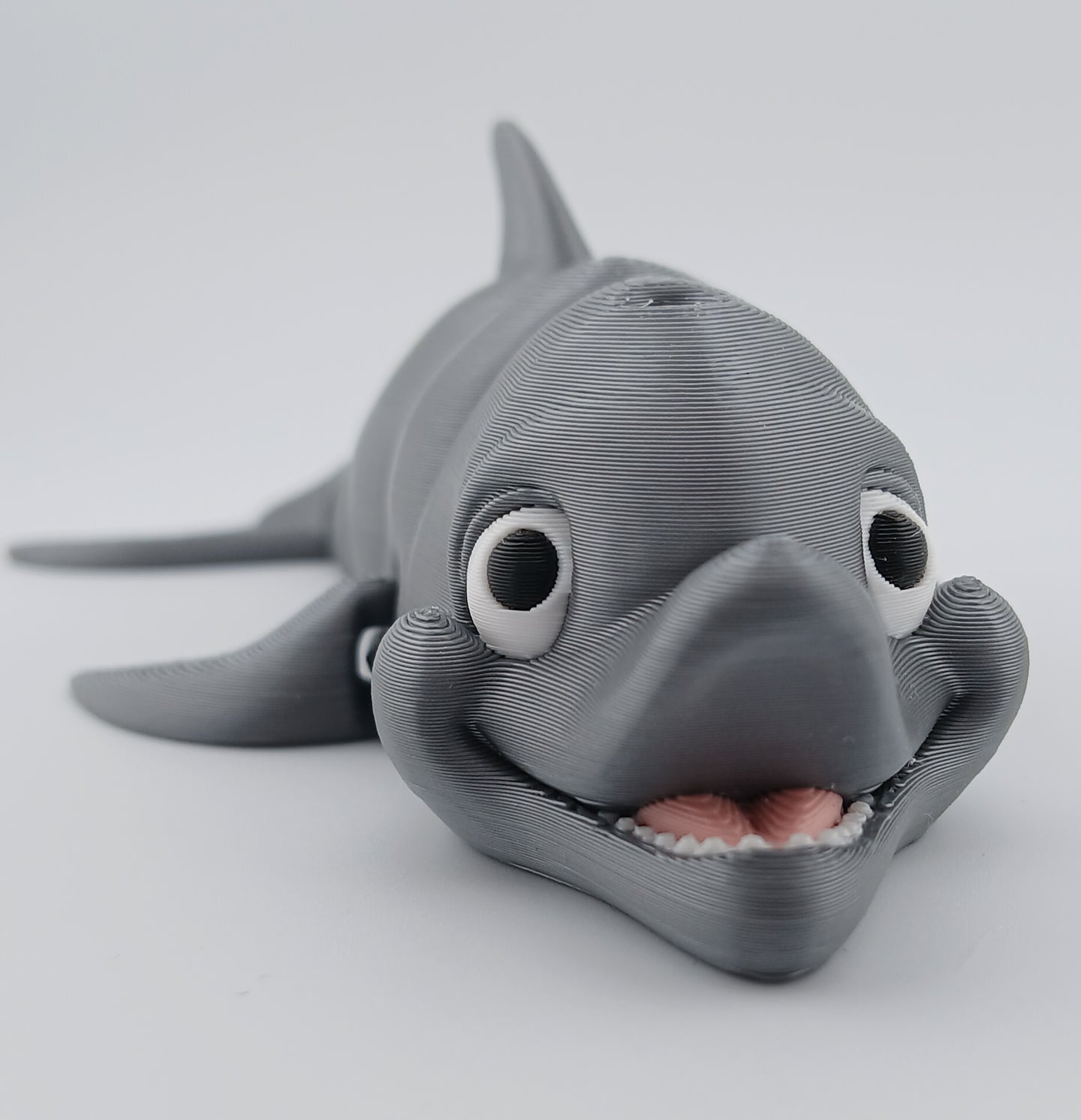 Dolphin